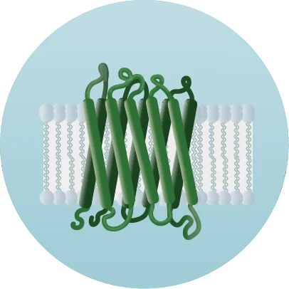 Membrane Protein with blue background